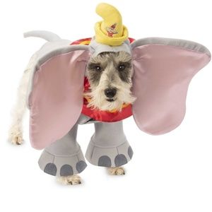 Dumbo dog costume. SMALL DOG